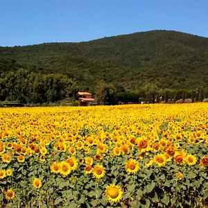 https://agriturismo-valborgina.it-tuscanyhotel.com